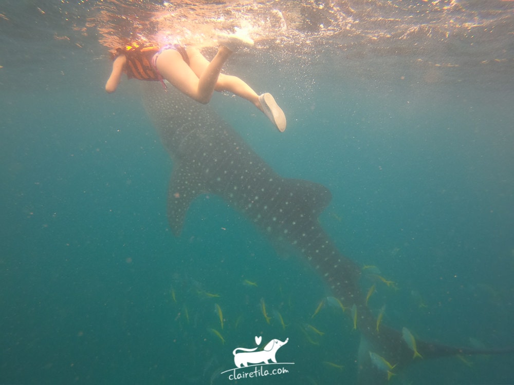 20251024-spe3k 20251024-spe3k