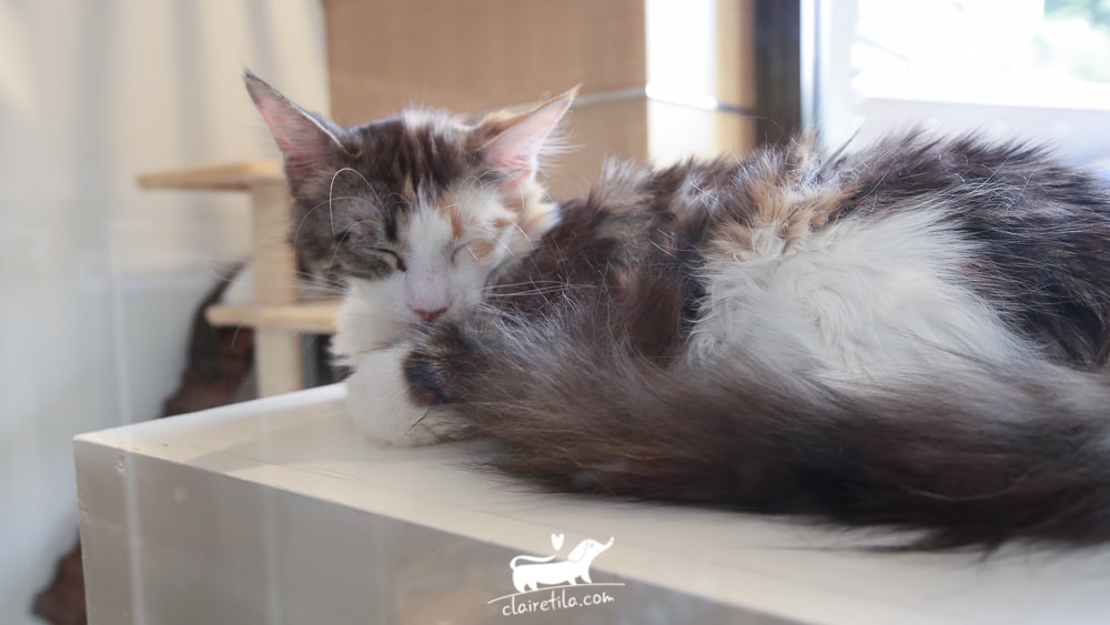 20251024-ujntu 20251024-ujntu