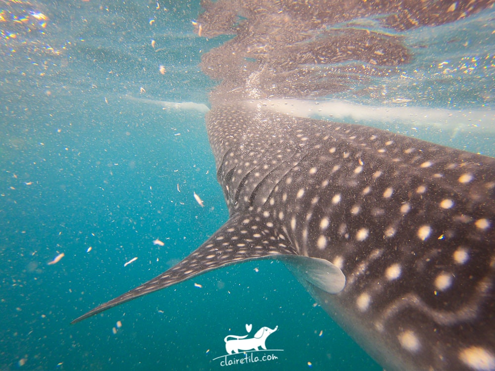 20251024-yq03f 20251024-yq03f