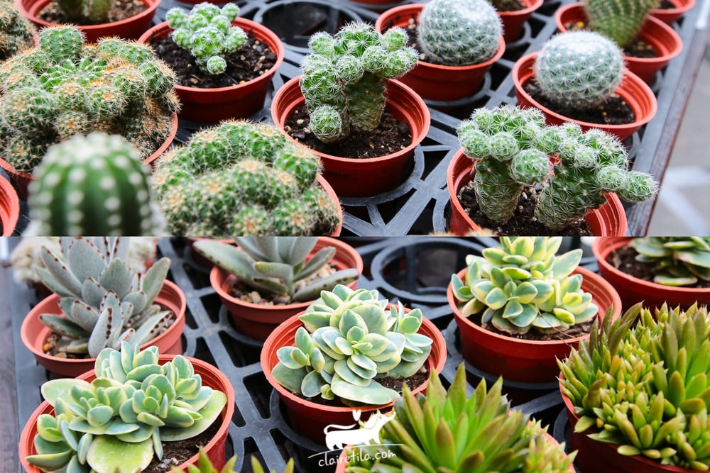 20251024-zsf8k 20251024-zsf8k