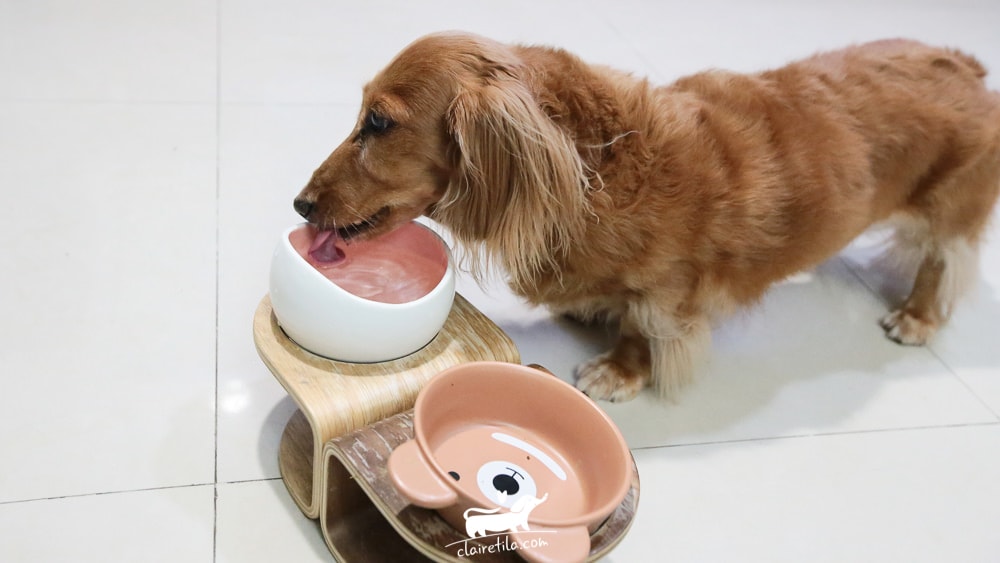 20251024-0nnvz 20251024-0nnvz