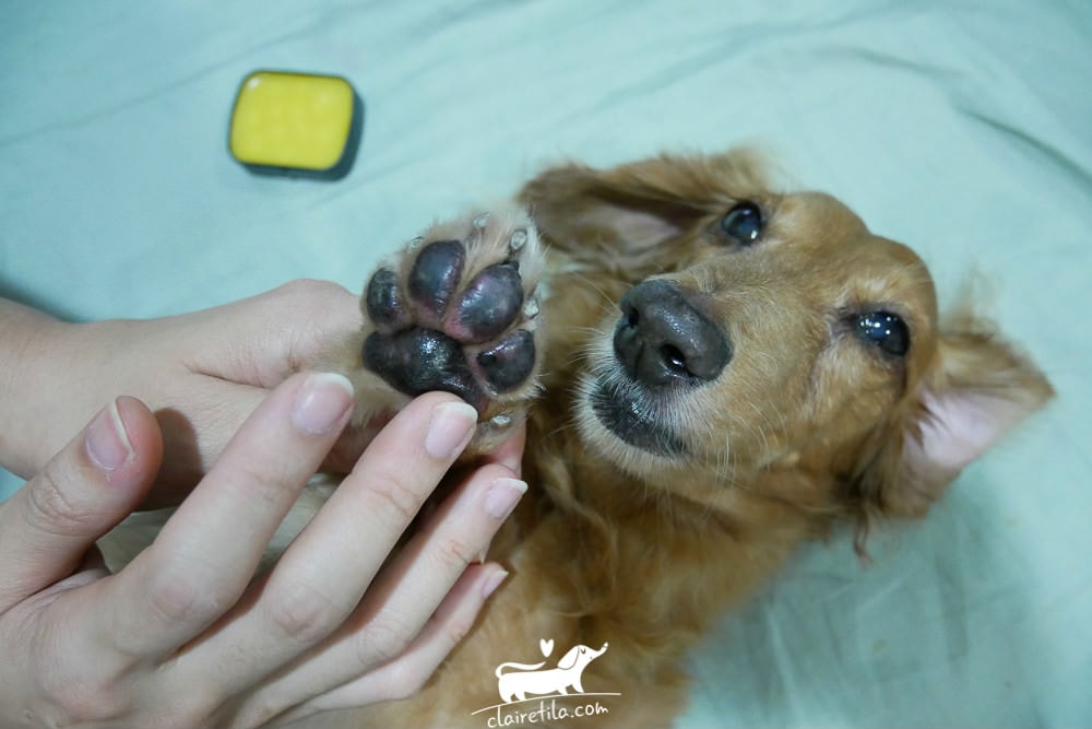 20251024-1byf1 20251024-1byf1