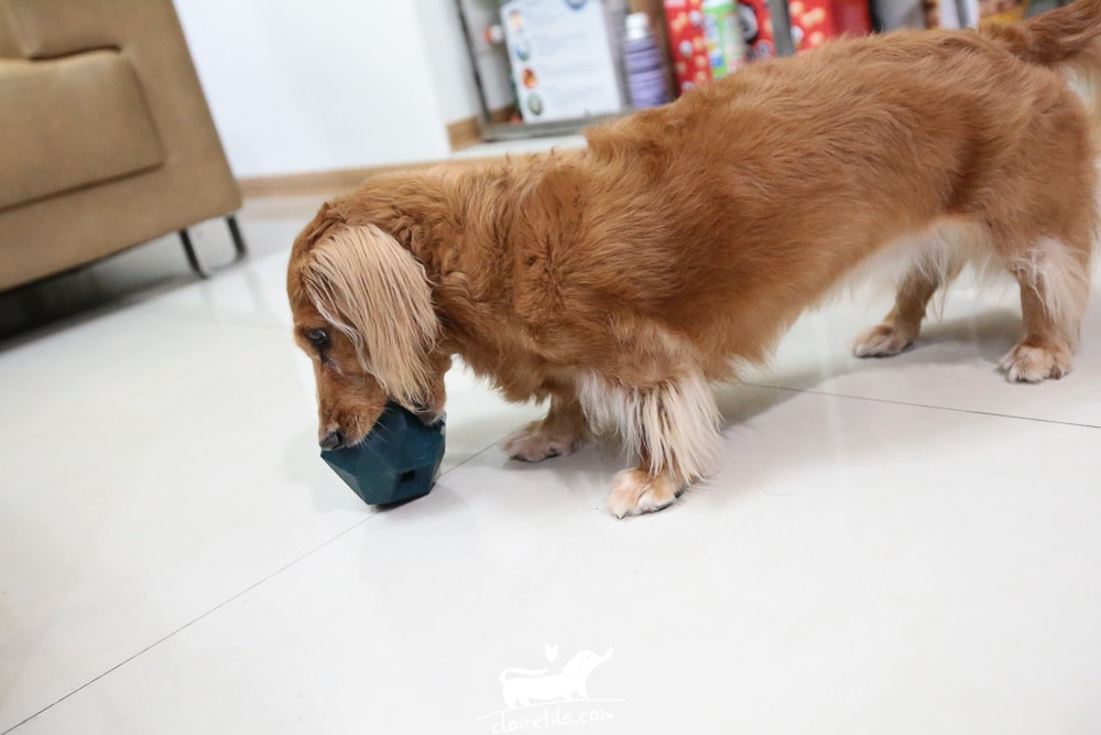 20251024-2zvd4 20251024-2zvd4