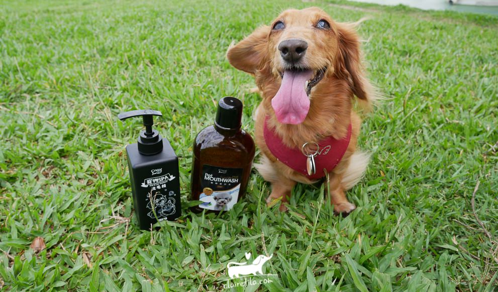 20251024-3mscu 20251024-3mscu