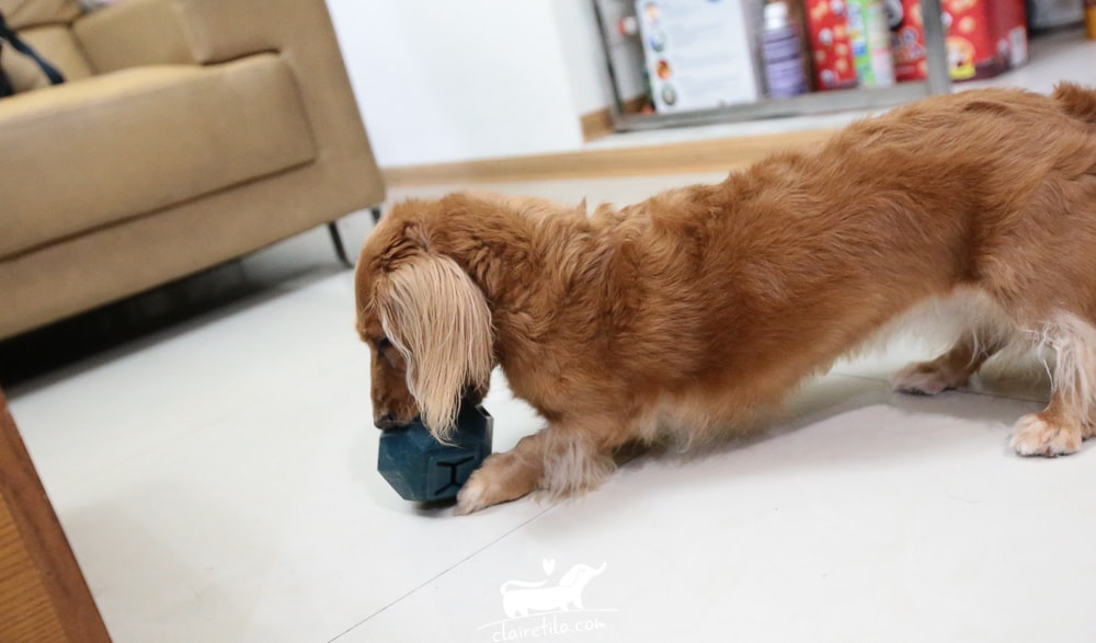 20251024-4vn7l 20251024-4vn7l