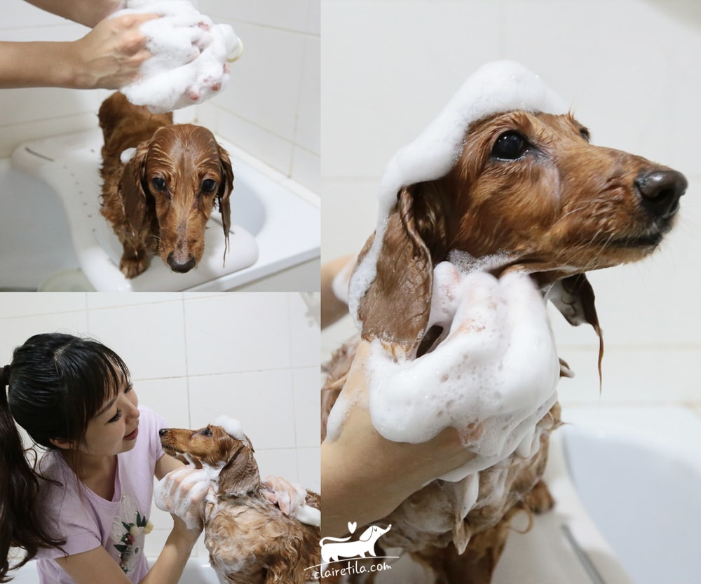 20251024-5n7zi 20251024-5n7zi