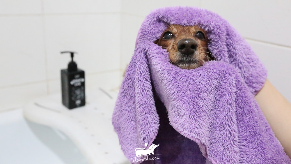 20251024-68yoy 20251024-68yoy