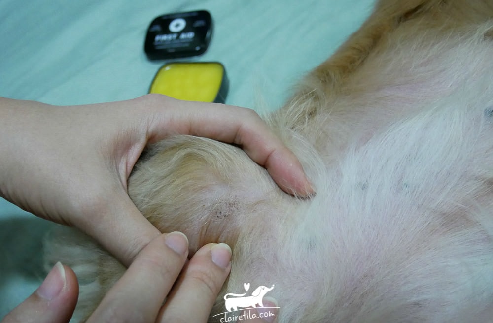 20251024-69w4n 20251024-69w4n