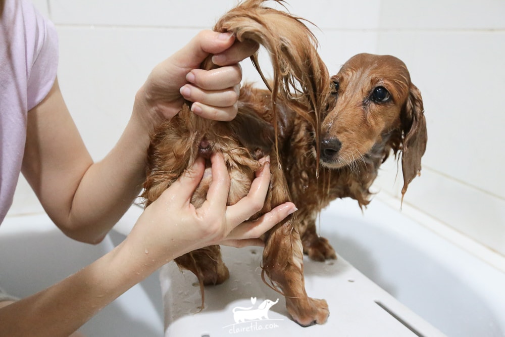 20251024-6dky9 20251024-6dky9