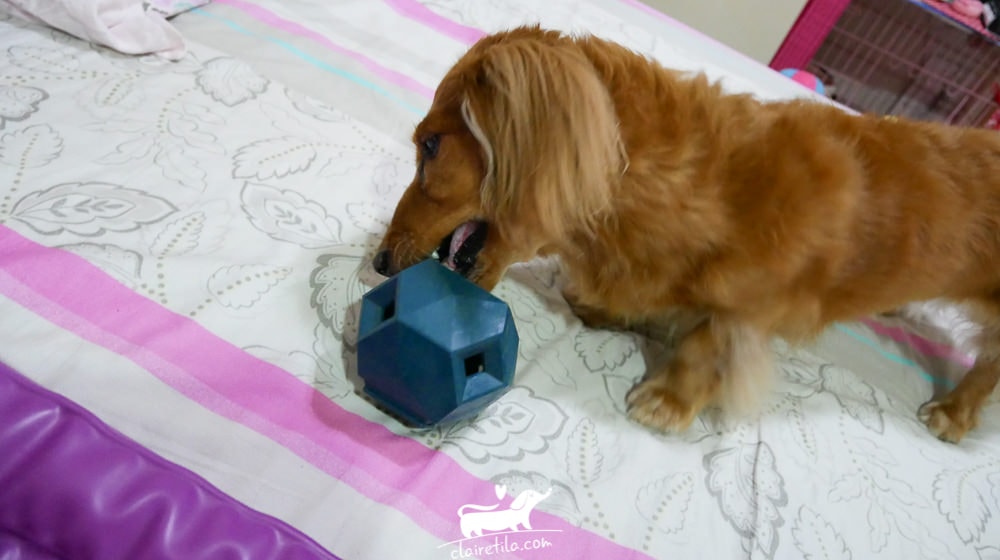 20251024-7vazv 20251024-7vazv