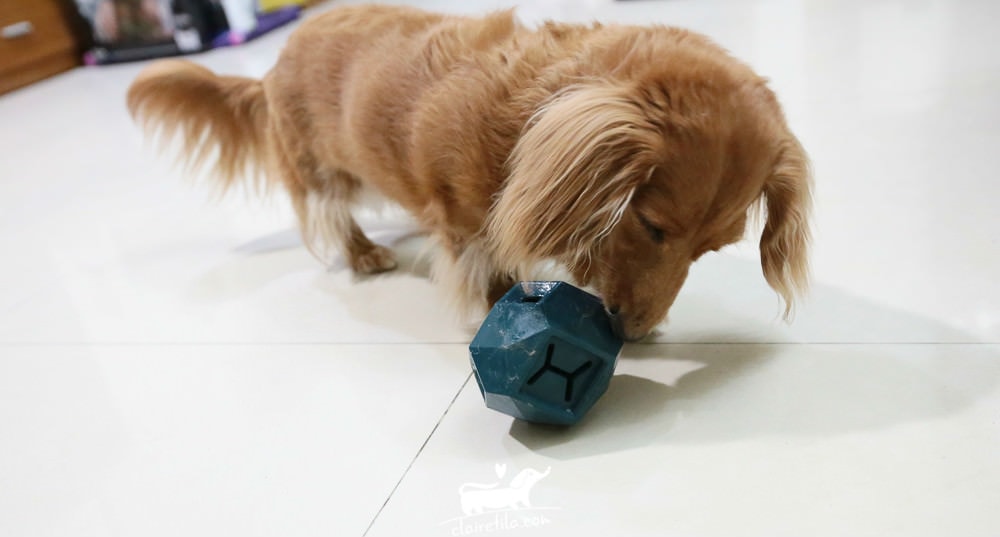 20251024-bxij4 20251024-bxij4