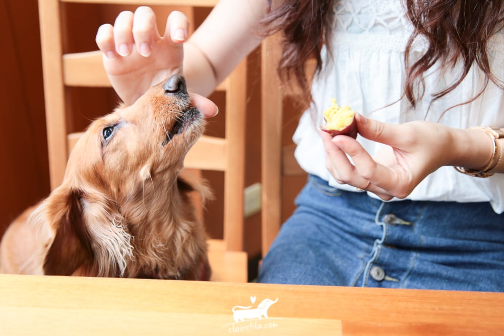 20251024-c2b8s 20251024-c2b8s