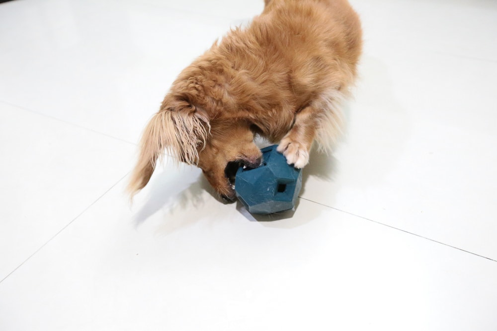 20251024-dpzee 20251024-dpzee