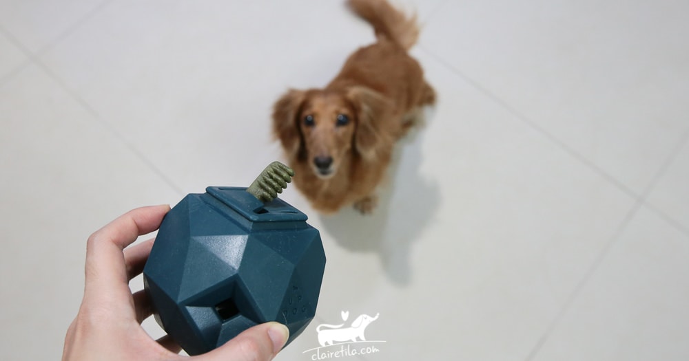 20251024-em4dh 20251024-em4dh