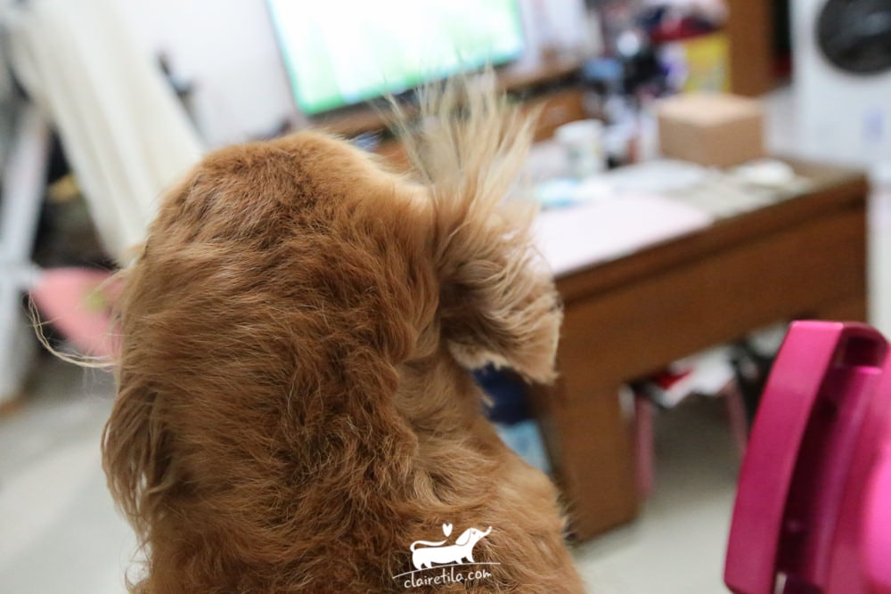 20251024-gqoue 20251024-gqoue