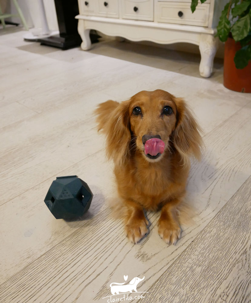 20251024-iy5so 20251024-iy5so