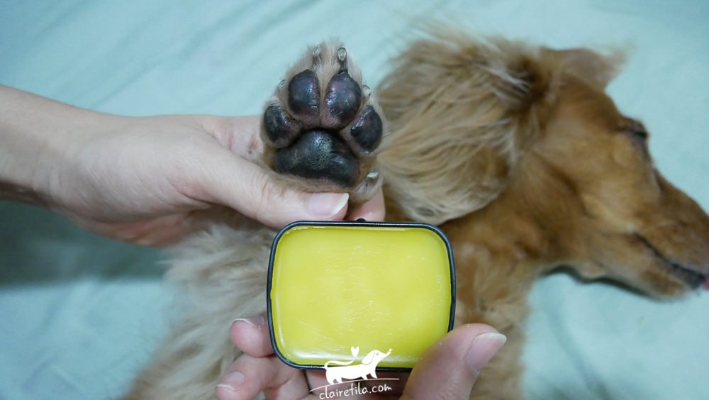 20251024-kq8c4 20251024-kq8c4