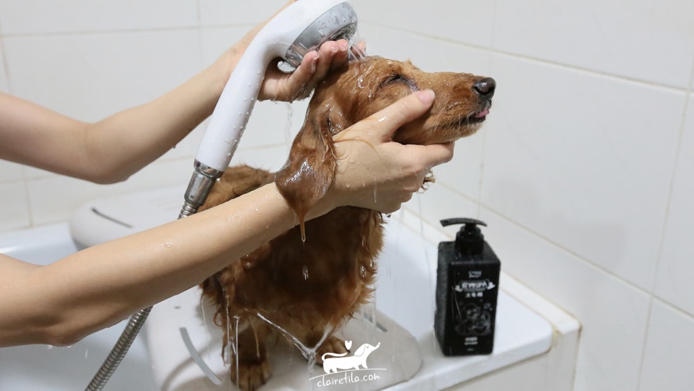 20251024-l78bk 20251024-l78bk