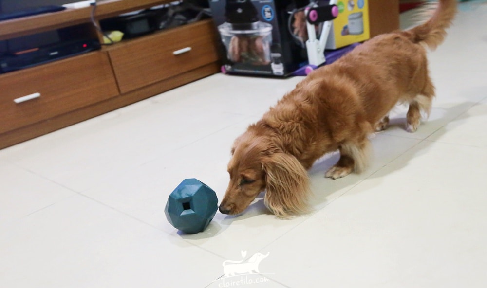 20251024-ohrt1 20251024-ohrt1