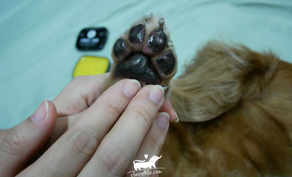 20251024-oixxt 20251024-oixxt