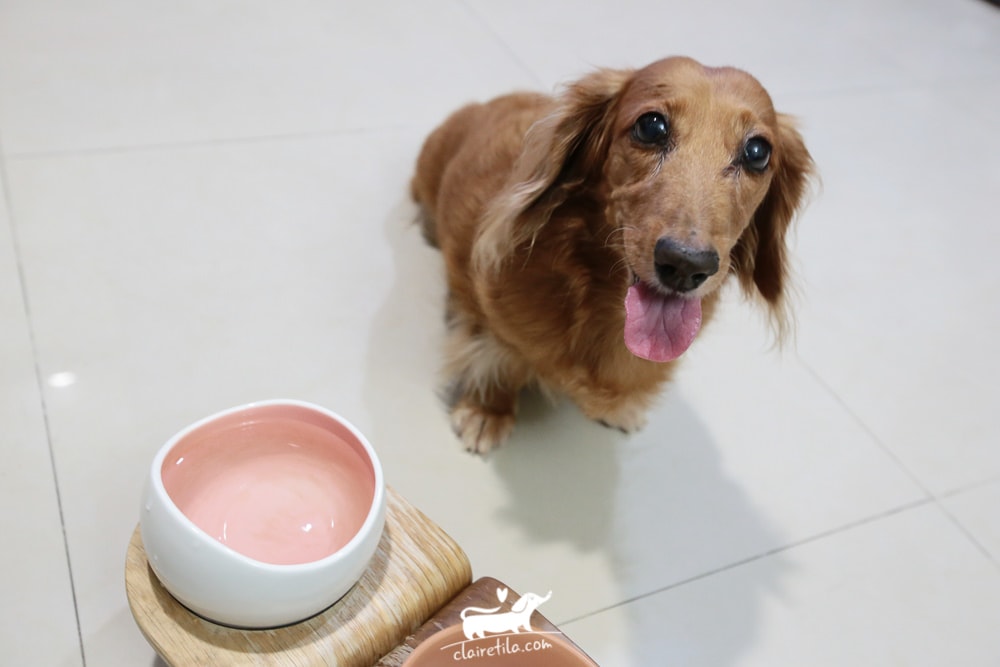 20251024-sc6mh 20251024-sc6mh