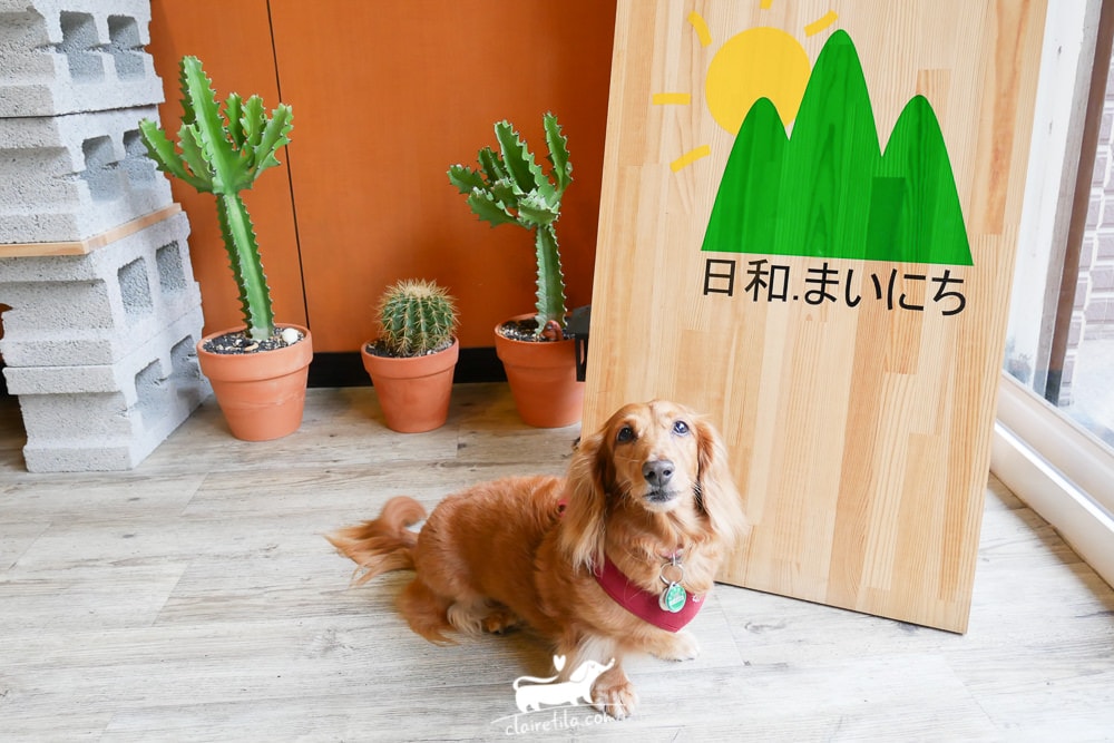 20251024-symdw 20251024-symdw