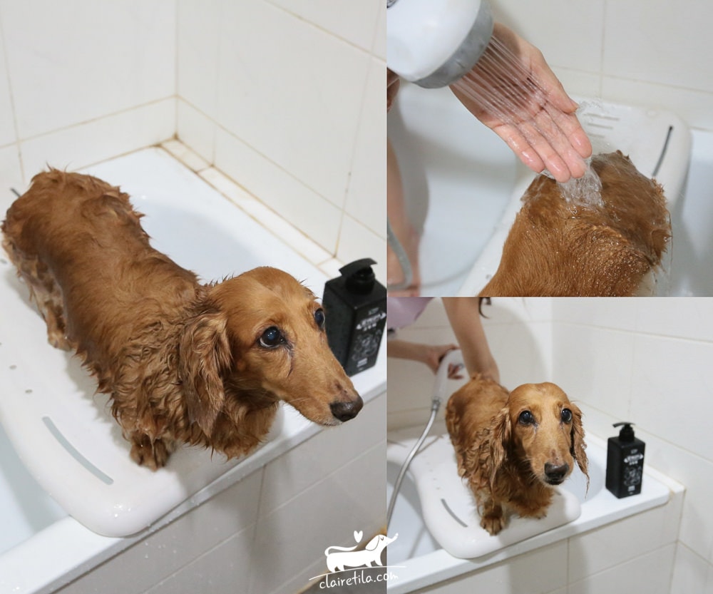 20251024-teykt 20251024-teykt