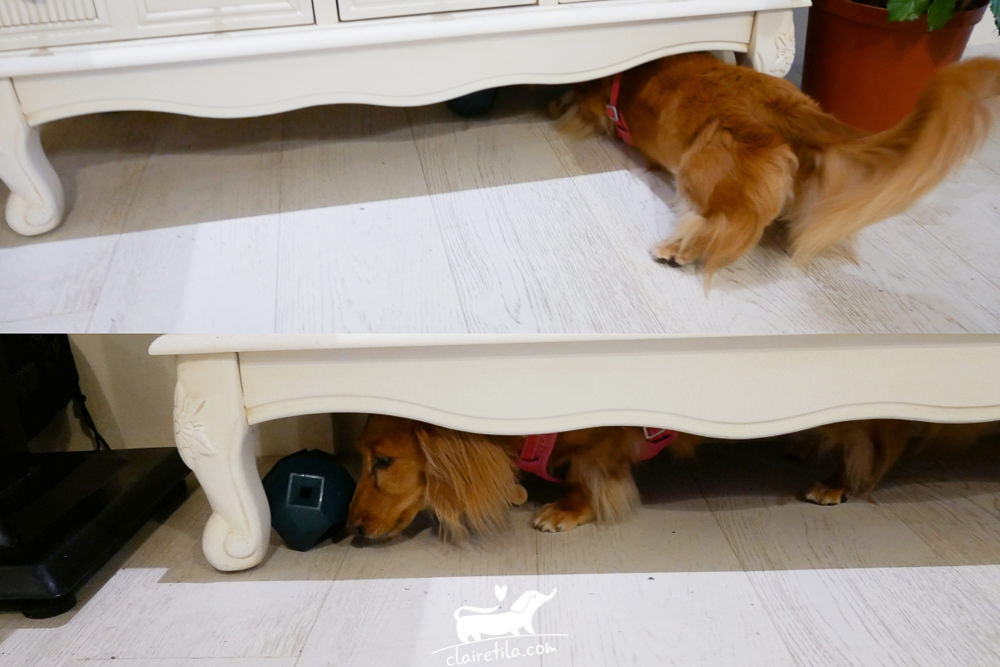 20251024-toa5j 20251024-toa5j