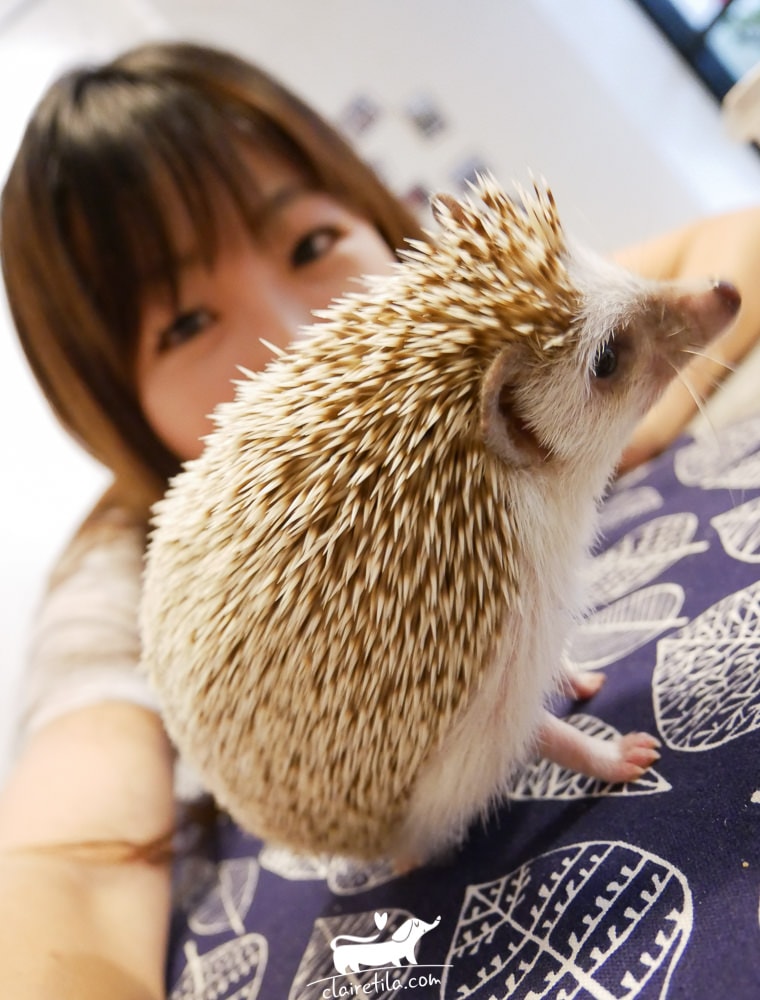 20251024-0mzl8 20251024-0mzl8