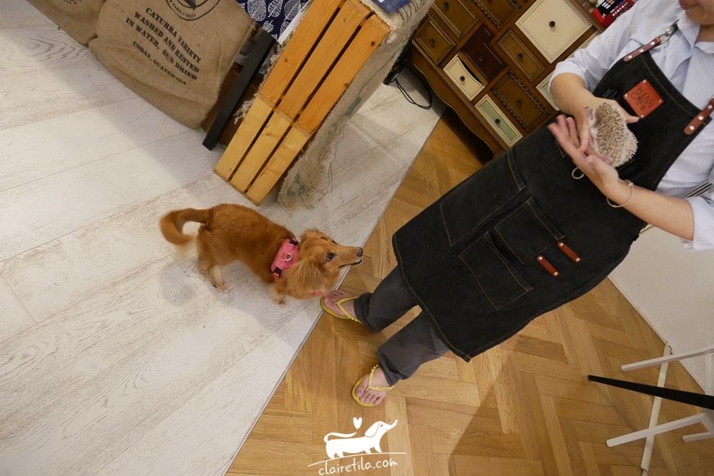 20251024-3iio3 20251024-3iio3