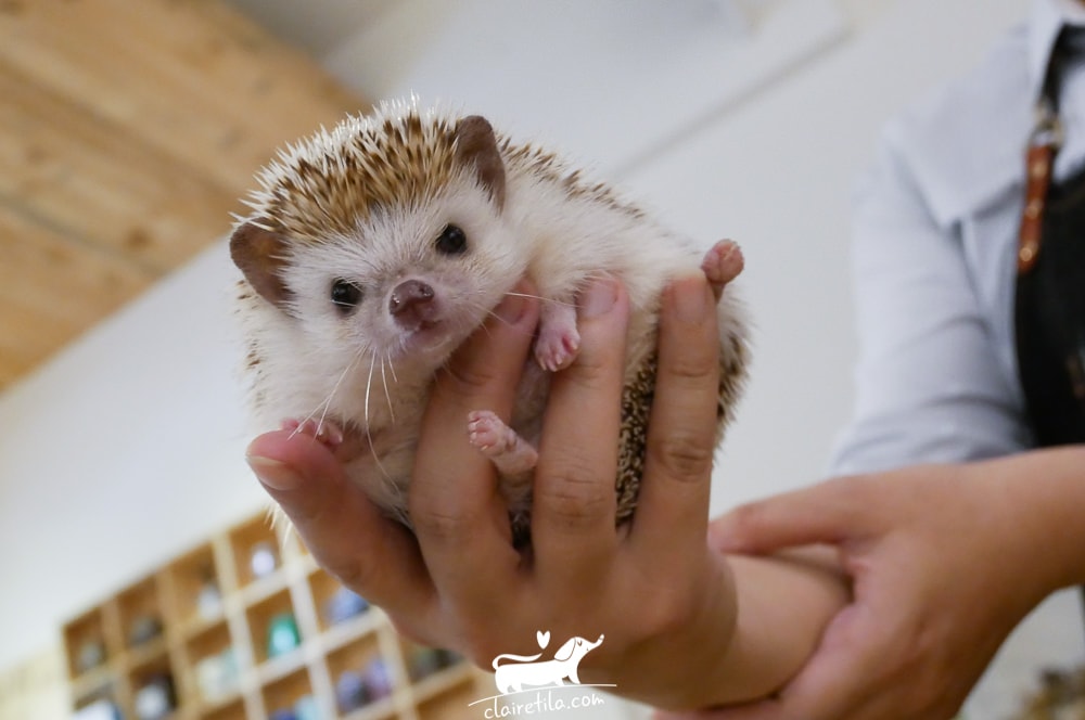 20251024-kvvcz 20251024-kvvcz