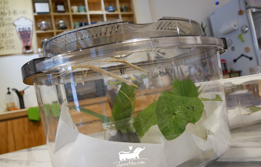 20251024-m4amr 20251024-m4amr