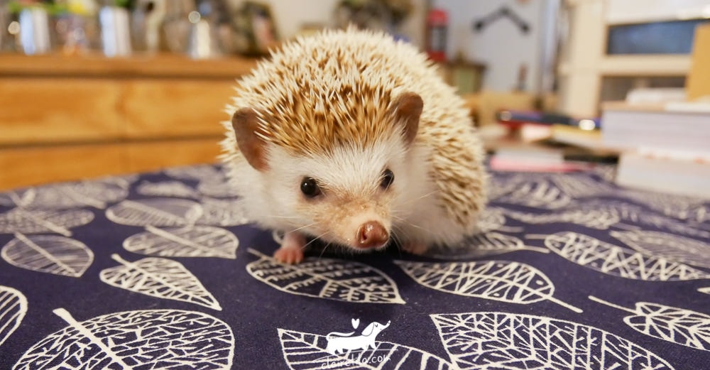 20251024-vrha4 20251024-vrha4