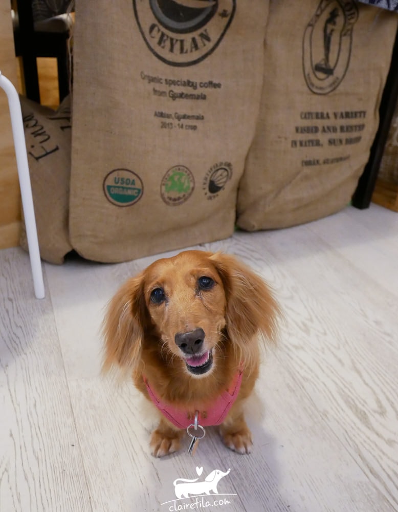 20251024-xizm5 20251024-xizm5