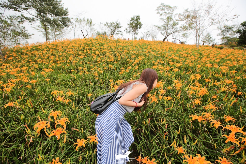 20251024-4abcq 20251024-4abcq