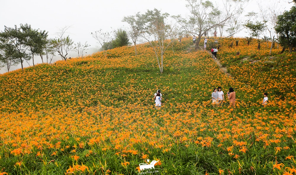 20251024-5cpjs 20251024-5cpjs