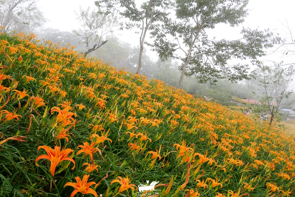 20251024-7dtpg 20251024-7dtpg