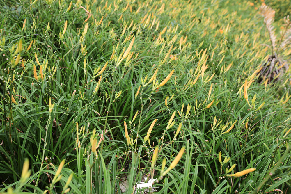 20251024-9rhoy 20251024-9rhoy