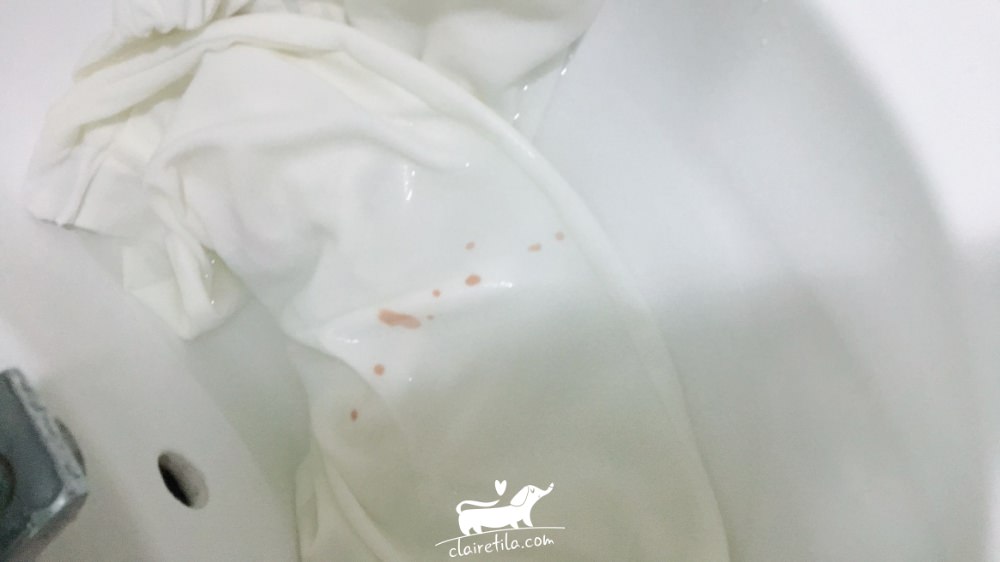 20251024-g839v 20251024-g839v