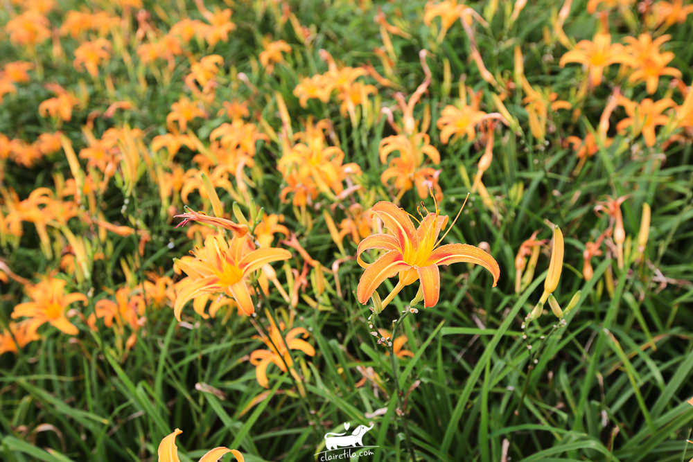 20251024-nm1kj 20251024-nm1kj