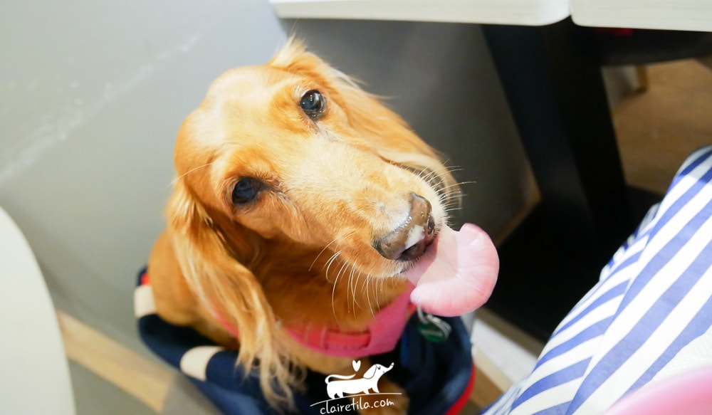 20251024-pkea3 20251024-pkea3