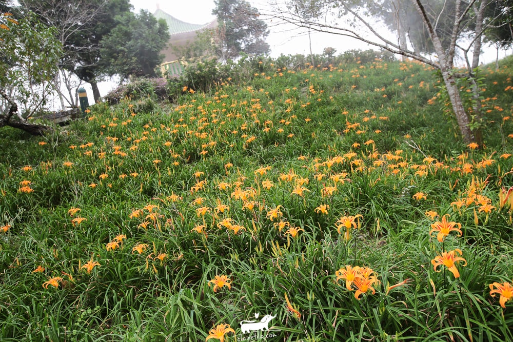 20251024-w255d 20251024-w255d