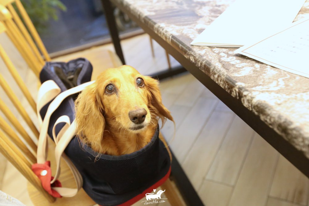 20251024-syiag 20251024-syiag