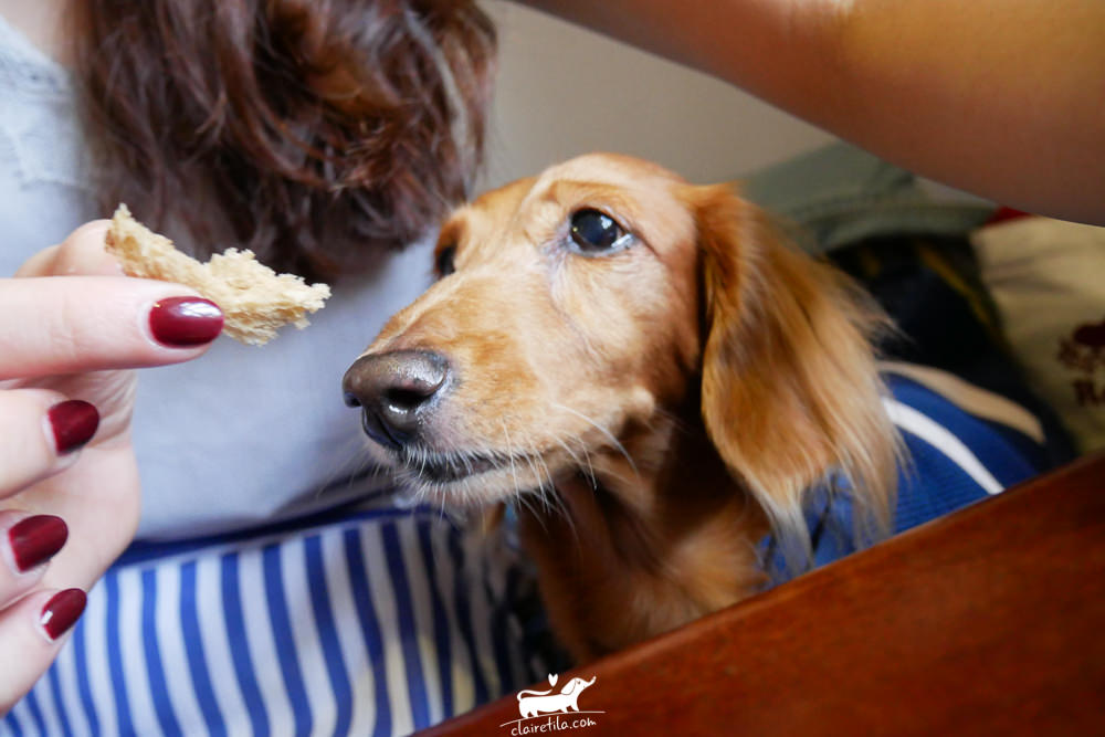 20251024-ym9uh 20251024-ym9uh