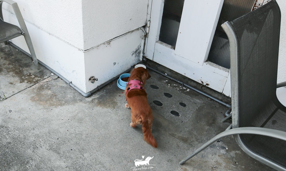 20251024-zg214 20251024-zg214