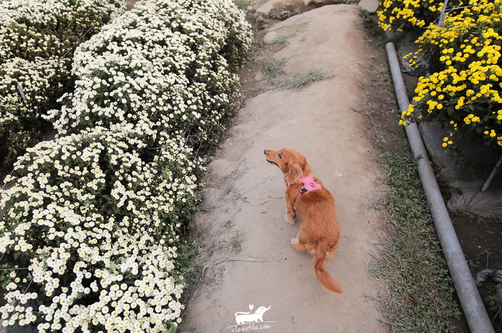 20251024-0kbj8 20251024-0kbj8