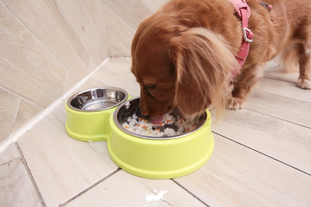 20251024-0swth 20251024-0swth