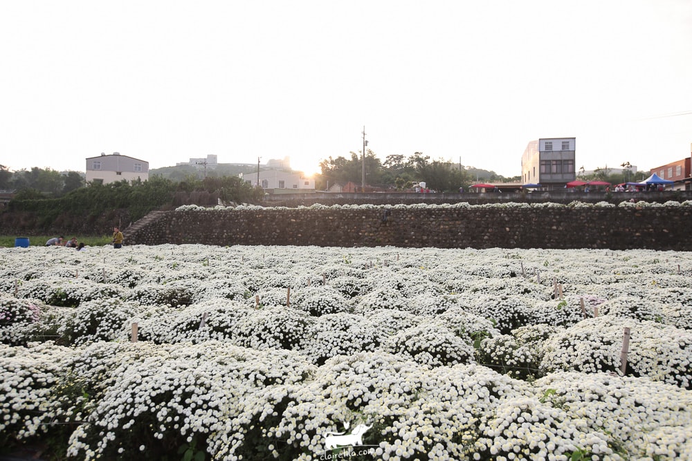 20251024-49hkg 20251024-49hkg