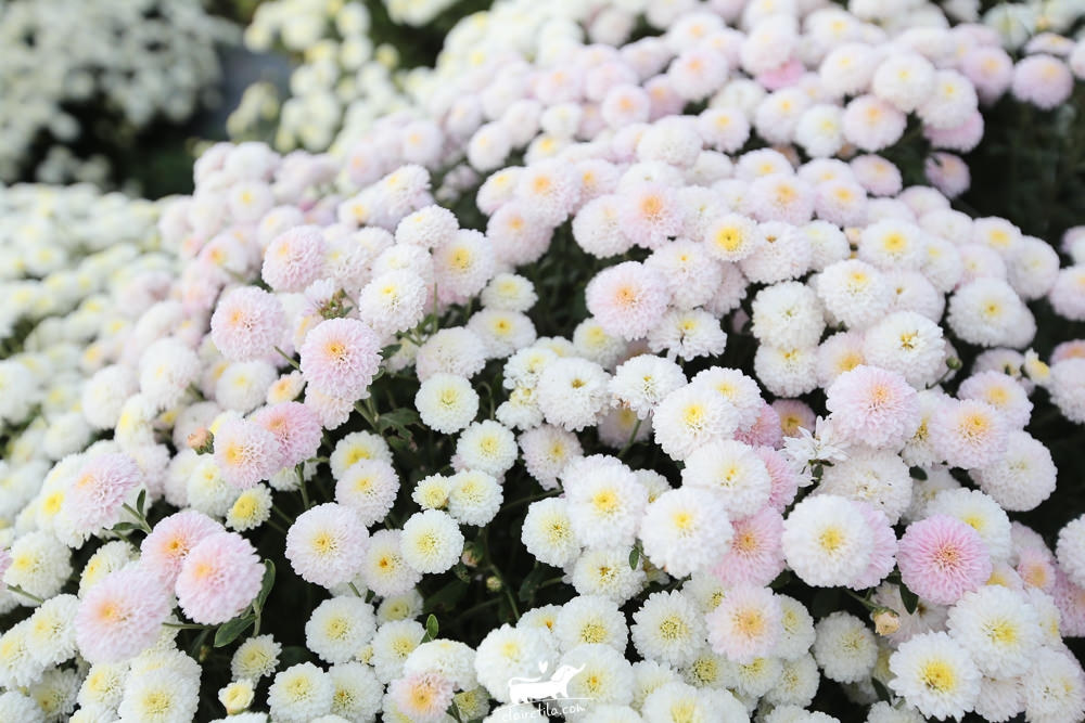 20251024-4hd0n 20251024-4hd0n