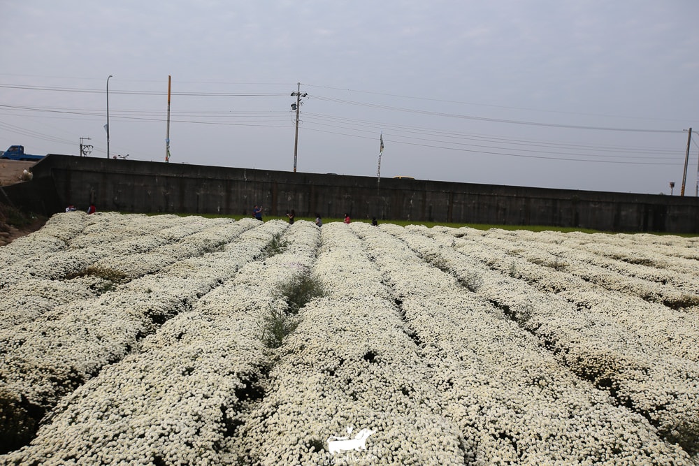 20251024-f4rvg 20251024-f4rvg